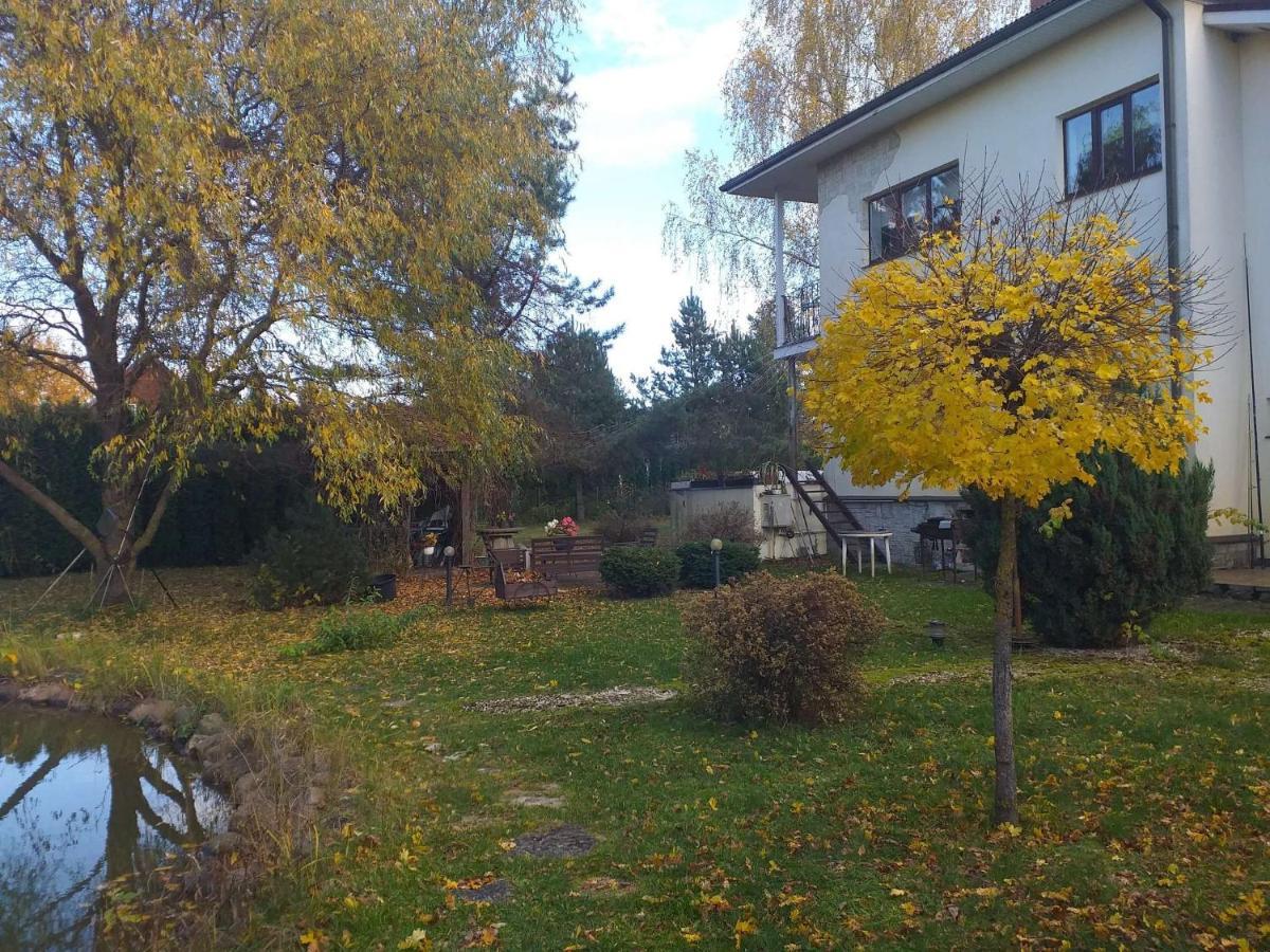 Guest House Pechersky & Sons Dreilini  Exteriör bild